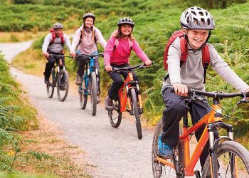 Eleições 2020: TSE aprova envio de forças federais para sete estados