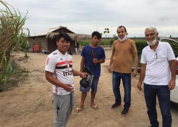 Detran|ES alerta para site falso de leilão em nome do órgão