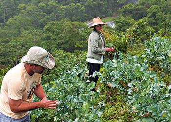 Seag divulga resultado da primeira fase do Funsaf