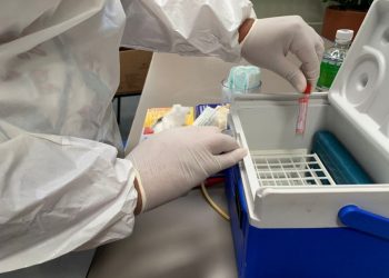 De cada seis pacientes notificados, um tem resultado positivo para Covid-19 no Estado