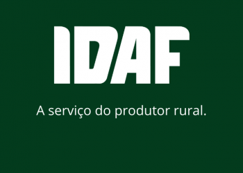 Idaf abre processo seletivo para contratação de profissionais de nível médio