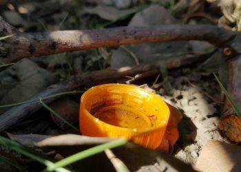 Fique atento aos cuidados necessários para evitar a dengue