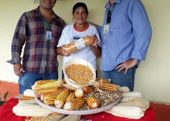 Coleção de Sementes Crioulas resgata segurança alimentar em Pedro Canário