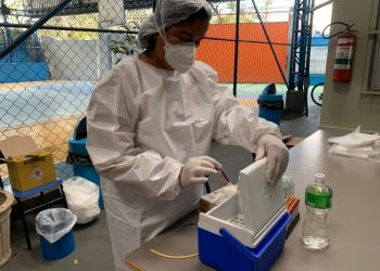 Seag participa de painel sobre ‘Política e Ações Estaduais para Desenvolvimento da Cafeicultura’