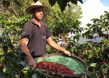 Governo do Espírito Santo realiza 17ª Semana Estadual de Ciência e Tecnologia