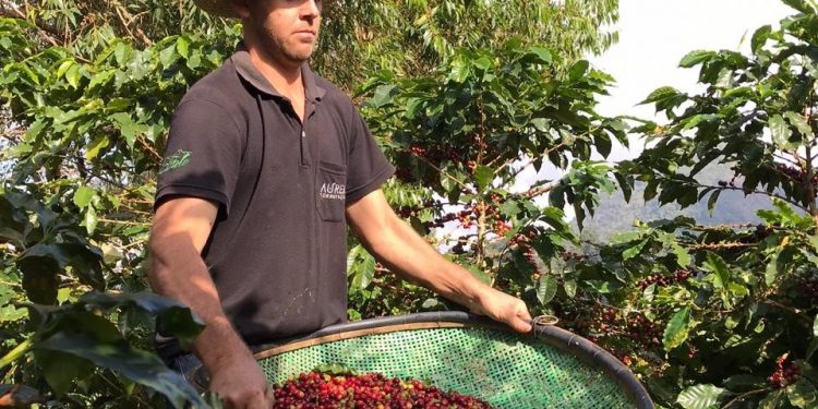 Governo do Espírito Santo realiza 17ª Semana Estadual de Ciência e Tecnologia