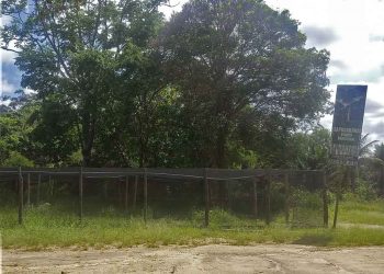 Após um ano de inaugurado Viveiro Municipal está abandonado