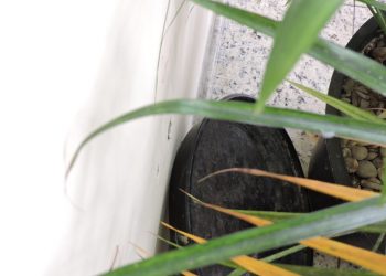 Sedu realiza formação Jovens Protagonistas