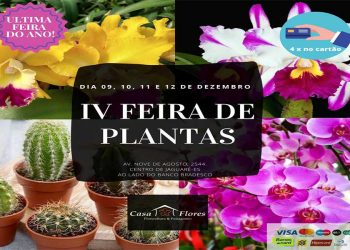 Casa Flores realiza IV Feira de Plantas