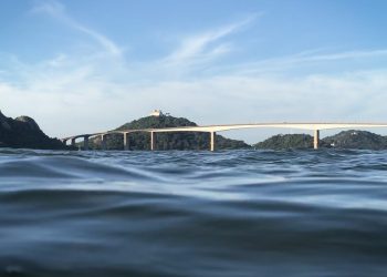 100% digital: Governo do Estado não usará mais papel na abertura de novos processos