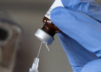 Brasil chega a quase 6,5 milhões de brasileiros recuperados da Covid-19