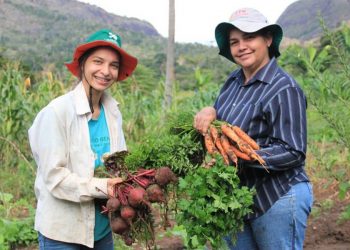 Países da Europa começam a aplicar vacina da Pfizer contra covid-19