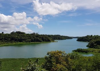 Programa de Gestão Integrada das Águas e da Paisagem deu um salto nos últimos dois anos