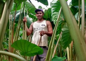 Crédito rural transforma vida de agricultores familiares no Estado