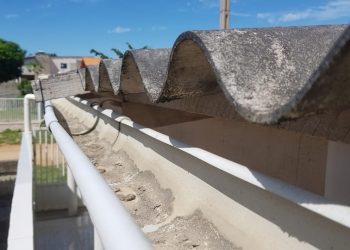 Dengue: ações simples podem evitar a proliferação da doença