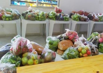 Estado anuncia consultoria para agroindústrias e lança materiais do Programa AgroLegal