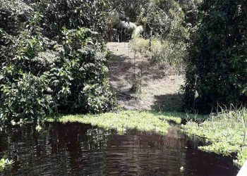 Mourão defende novo modelo de desenvolvimento para a Amazônia