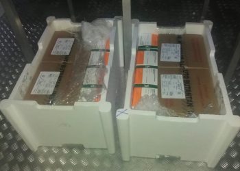 Estado recebe paciente de Santa Catarina para tratamento Covid-19 nesta quarta-feira (03)