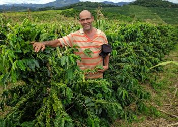 Sesa explica importância de se realizar testes para a comprovação da Covid-19