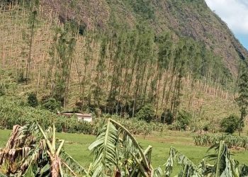 Hospital Estadual Materno Infantil começa a receber pacientes com Covid-19 nesta quarta (07)