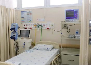 Adolescentes da Unip Norte cultivam horta para consumo próprio