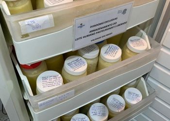 Doação de Leite Humano: no primeiro quadrimestre de 2021, o Estado registrou mais de 1.300 litros de leite