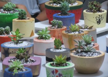 Governador envia Projeto de Lei à Assembleia Legislativa para prorrogar contrato de profissionais em Designação Temporária