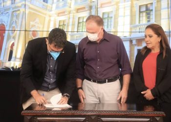 Projeto do Incaper visa a difundir tecnologias para melhorar produtividade de abacaxi no Estado