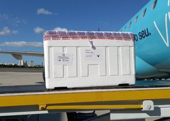 Aulas presenciais voltam para todos os níveis da Educação nesta segunda-feira