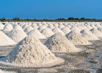 Sal-gema: Freitas defende que Frente Parlamentar quer dialogar com Governo