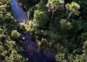 Turismo registra crescimento em 2020, mas ainda abaixo de 2019