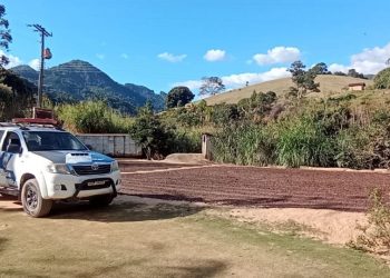 Operação Colheita completa 50 dias com apreensão de armas, drogas e prisão de 25 criminosos no Estado