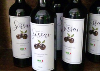 Vinhos Sossai: uma tradição de família