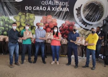 Incaper e Seag apresentam variedade de café conilon ‘Conquista ES8152’