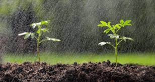 Jaguaré: chuva retorna com intensidade após 170 dias