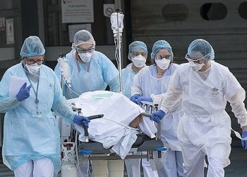 Incaper apresenta resultados parciais dos projetos de pesquisa da Rede Inova Café