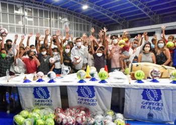 Aedes aegypti: entenda suas características