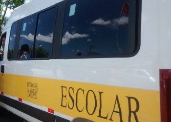 Aedes aegypti: entenda suas características