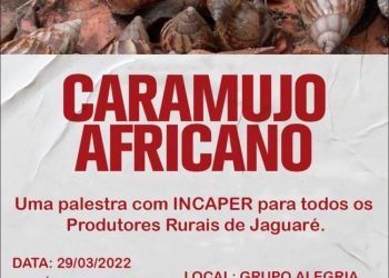 Jaguaré mobiliza-se no enfrentamento do Caramujo Africano