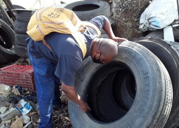 Prefeitura de Jaguaré realiza ações emergenciais de combate à dengue