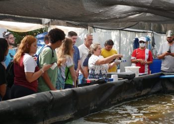 Curso de criação de camarão marinho do Incaper tem mais de 60 participantes