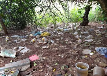 Prefeitura de Jaguaré amplia ações contra o mosquito da dengue