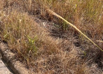 Governo do Estado anuncia repasses e novos investimentos em Montanha