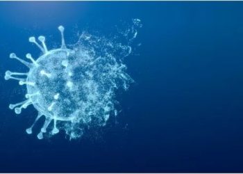 Covid-19: chega ao fim estado de emergência em saúde pública no Brasil