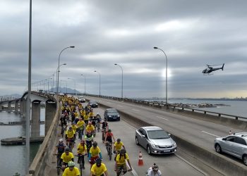 Servidores do Iema participam de seminário de conservação de espécie de abelha em extinção