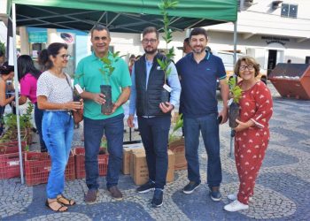 Doação de mudas de árvores é sucesso em Jaguaré
