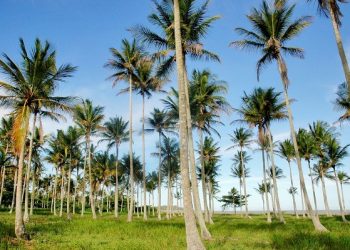 Municípios capixabas avançam na categorização do Ministério do Turismo