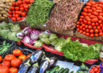 Projeto AlimentarES promove seminário sobre segurança alimentar e nutricional