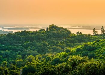 Chamada de propostas da Iniciativa Amazônia+10 é aberta no Espírito Santo