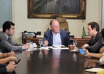 Chamada de propostas da Iniciativa Amazônia+10 é aberta no Espírito Santo